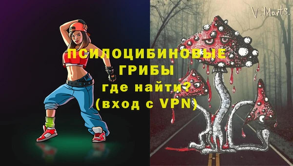 МДМА Ельня