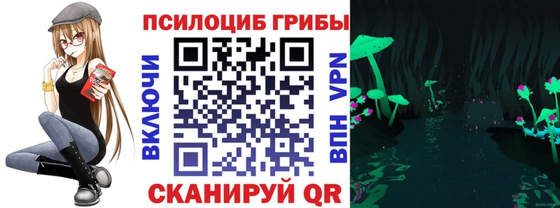 Купить закладки  Дагестанские Огни  Галлюциногенные грибы MAGIC MUSHROOMS 